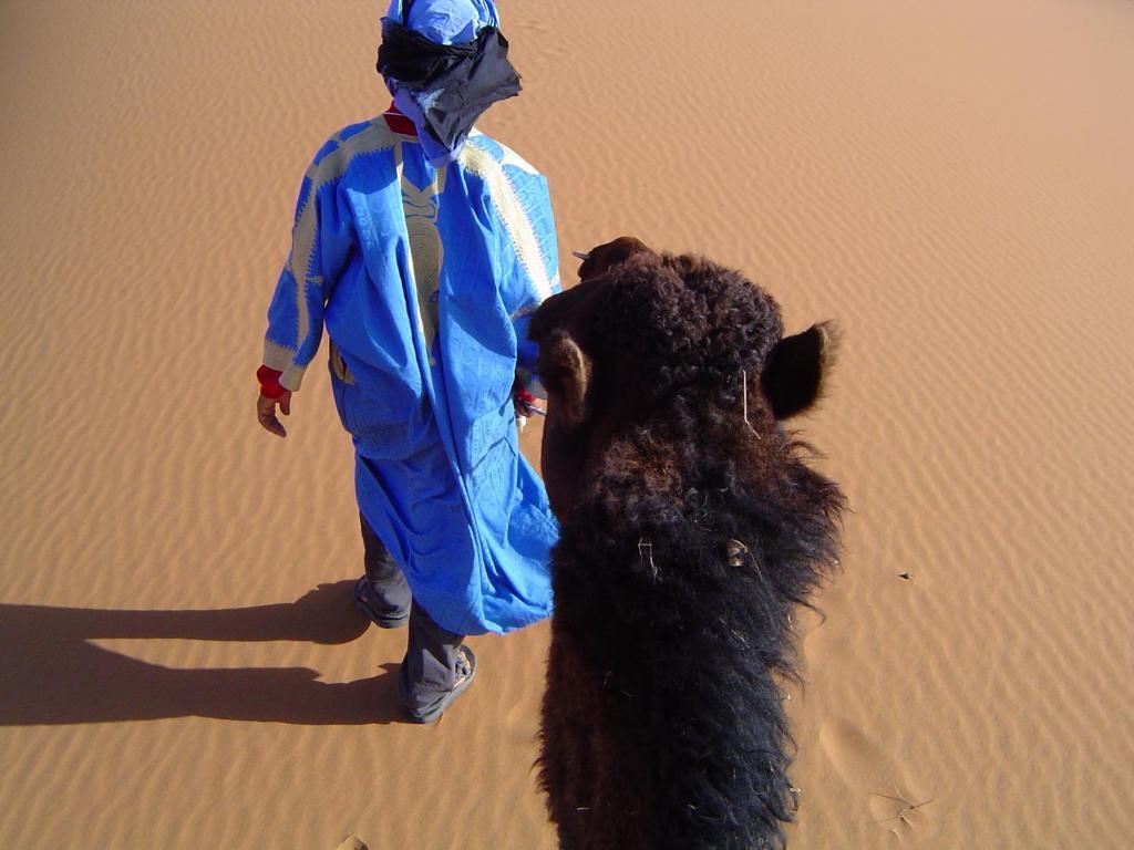 מרזאוגה Auberge Africa מראה חיצוני תמונה