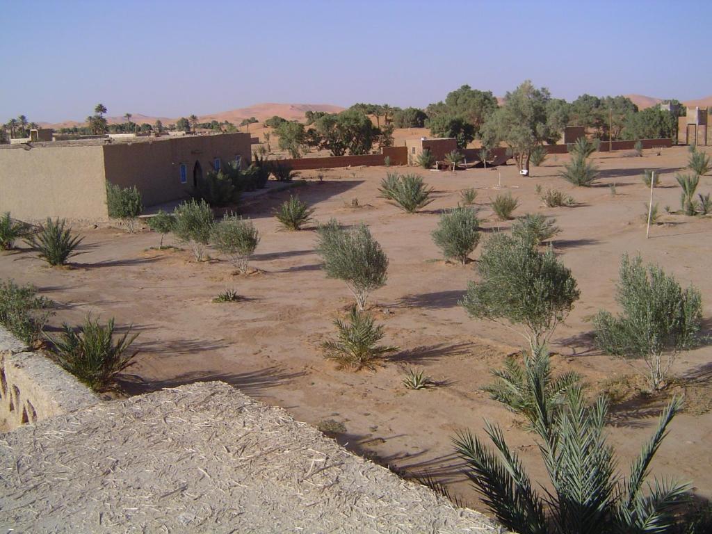 מרזאוגה Auberge Africa מראה חיצוני תמונה