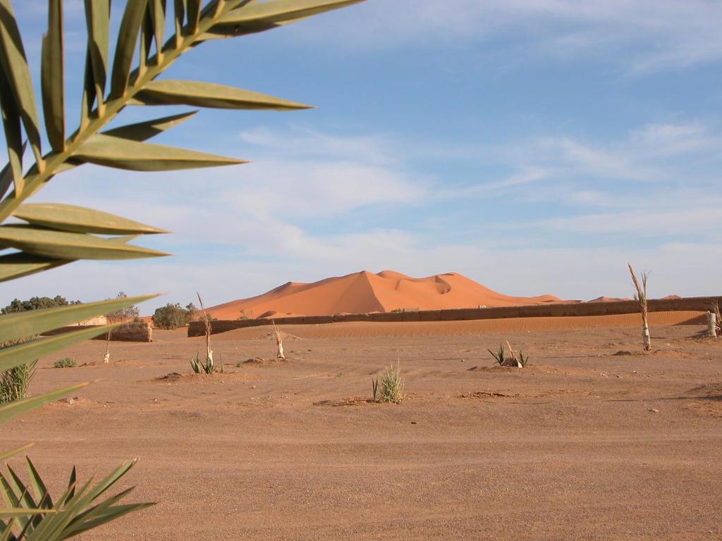 מרזאוגה Auberge Africa מראה חיצוני תמונה