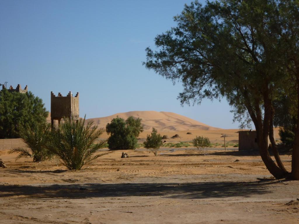 מרזאוגה Auberge Africa מראה חיצוני תמונה