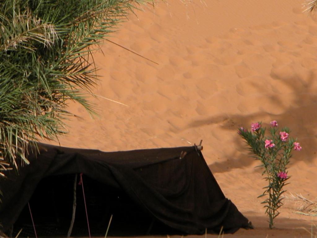 מרזאוגה Auberge Africa חדר תמונה