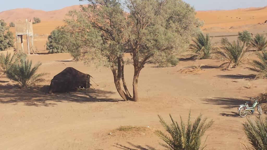 מרזאוגה Auberge Africa מראה חיצוני תמונה